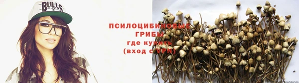 a pvp Новодвинск