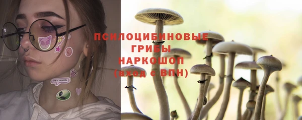 герыч Новозыбков