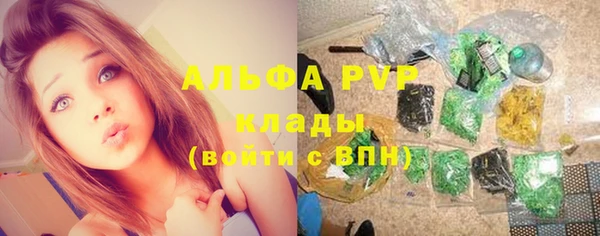 a pvp Новодвинск