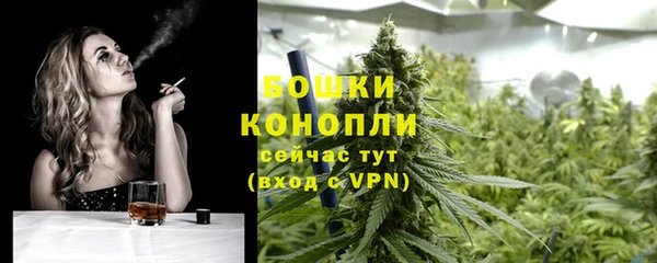 ПСИЛОЦИБИНОВЫЕ ГРИБЫ Новокубанск